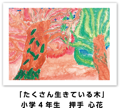 銅賞作品: 「たくさん生きている木」小学4年生　押手 心花