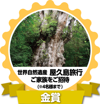 金賞：世界自然遺産「屋久島」旅行 ご家族をご招待（※4名様まで）