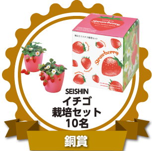銅賞：SEISHIN イチゴ栽培セット 10名