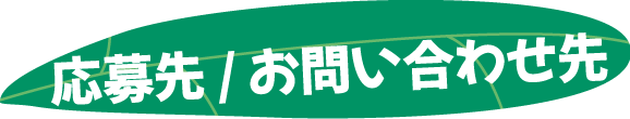 応募先／お問い合わせ先