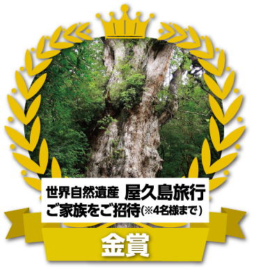 世界自然遺産 屋久島旅行ご家族をご招待(※4名様まで)