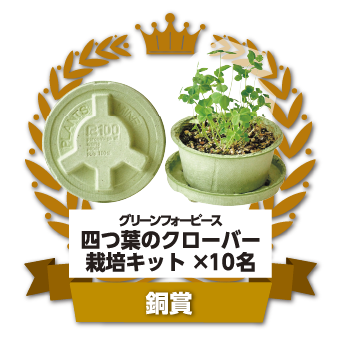 グリーンフォーピース四つ葉のクローバー栽培キット×10名
