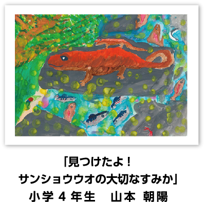 銅賞作品: 「見つけたよ！サンショウウオの大切なすみか」小学4年生　山本 朝陽
